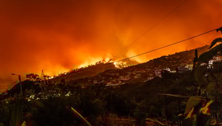 In the Wake of Natural Disasters – What to Expect with Disaster Inspections